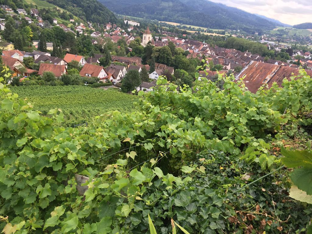Gasthaus Zum Hirschen Staufen im Breisgau Eksteriør billede